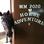 Rayo MM2020 Horse Adventure