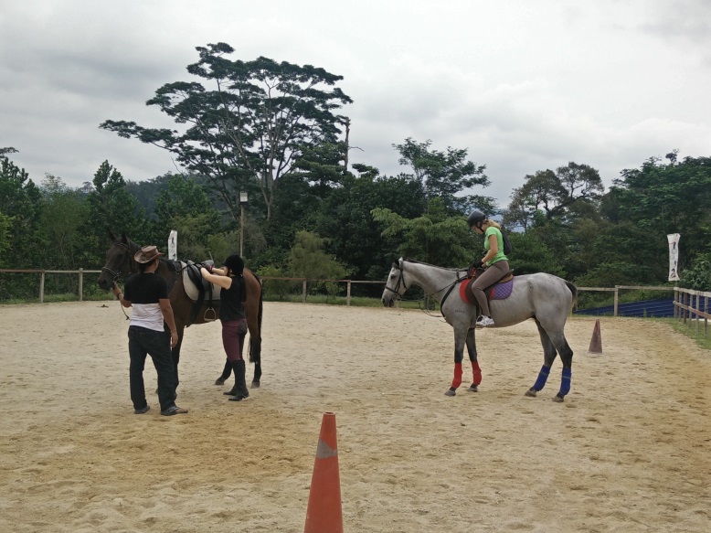 Suki (left) and Irene (right) exchanged horses.