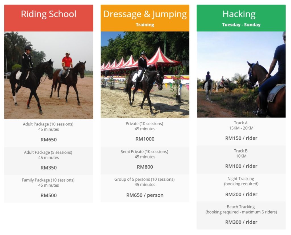 Vistapolo Equestrian activities