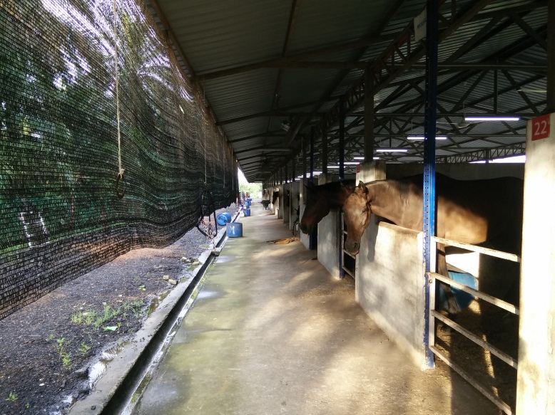 Vistapolo Equestrian Stable