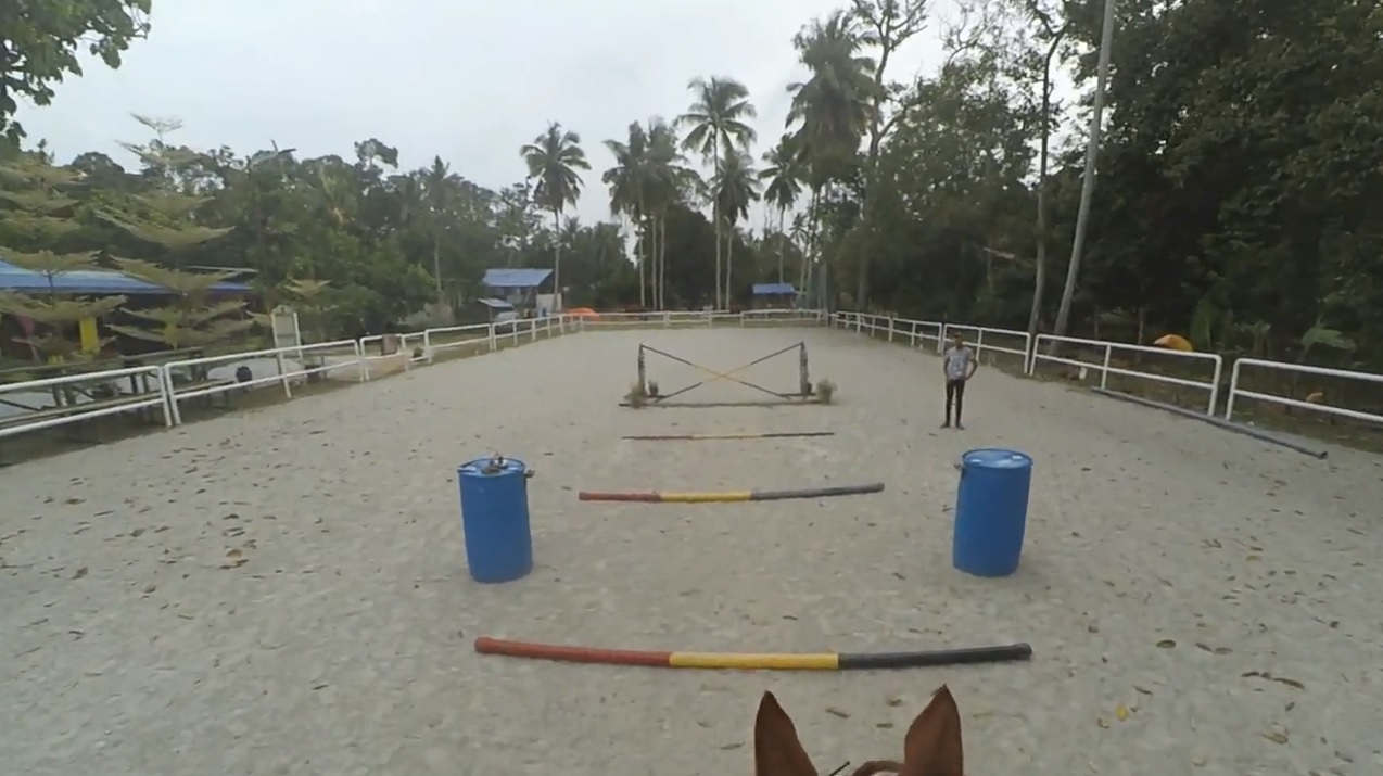 Jumping Lesson 2