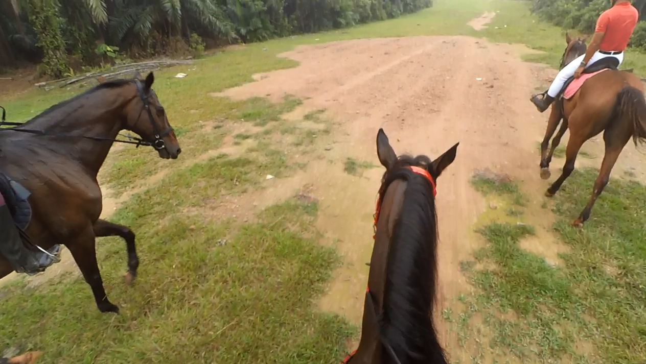 Batu Arang - Horse Riding Malaysia