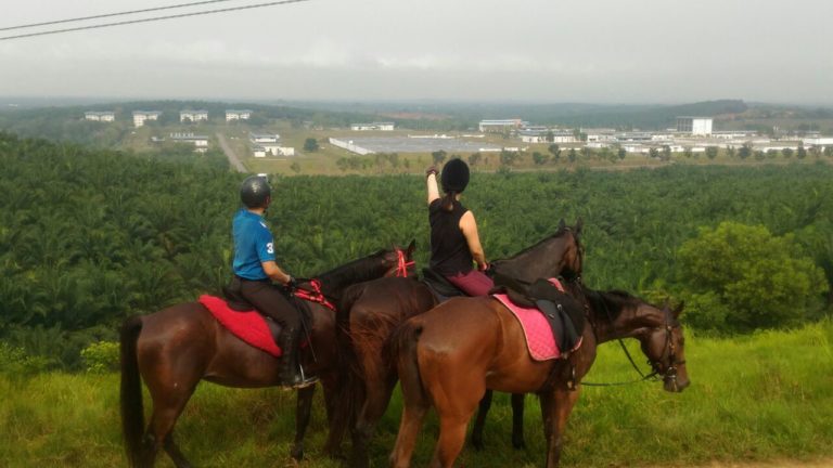 Batu Arang - Horse Riding Malaysia