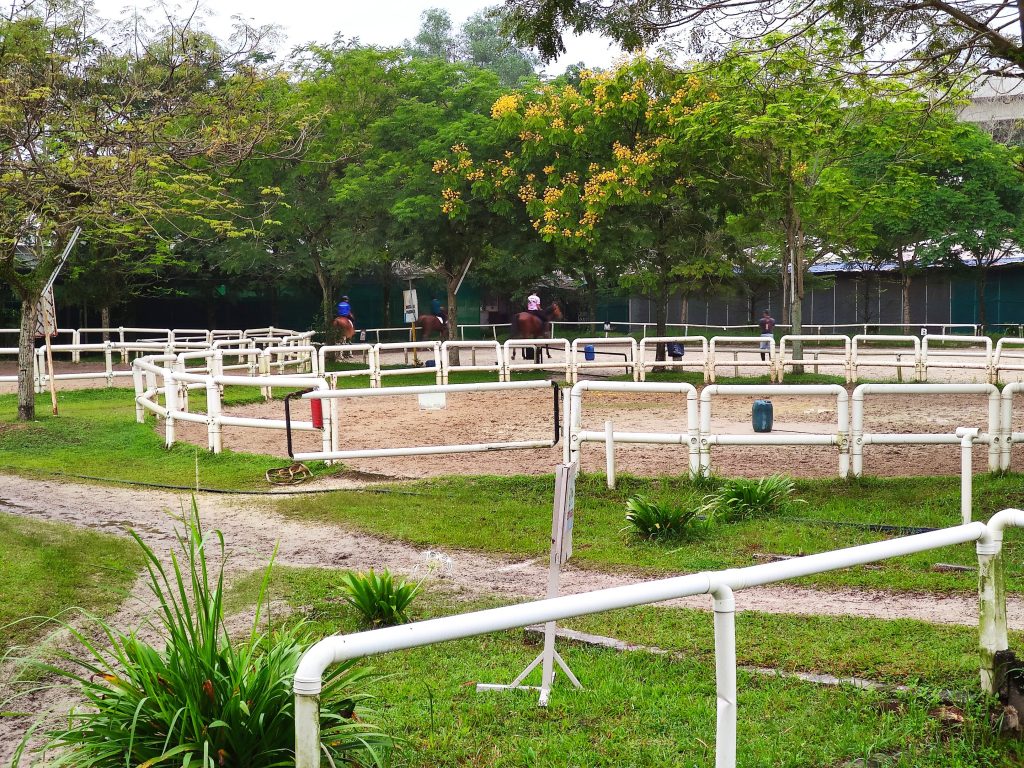 Denai Alam Recreational and Riding Club DARC