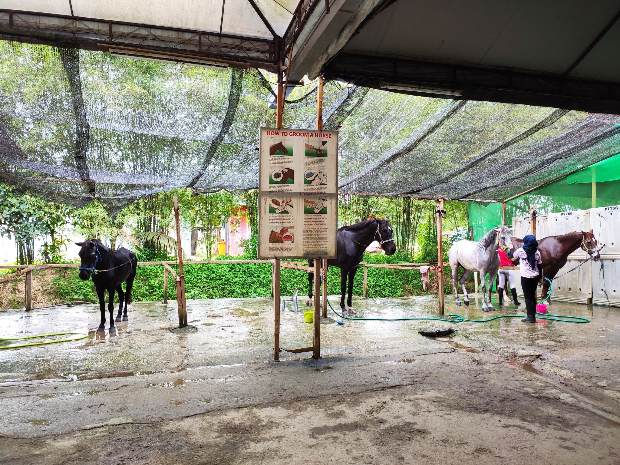 IMG_20201220_110920 Horse Riding Malaysia