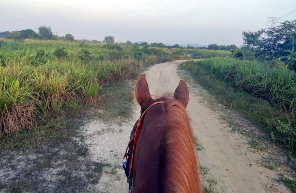 Cyberjaya Trail Ride - 3S Equestrian Centre