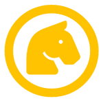 Yellow - DARC Horse Riding Syllabus 