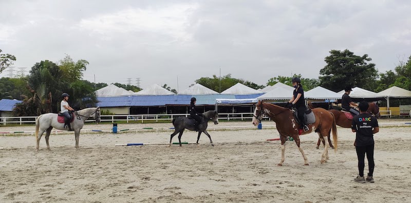 Riding Lesson at DARC