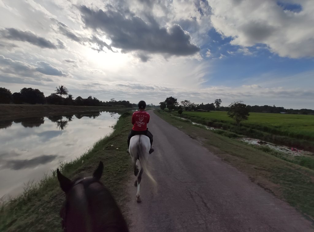 Hang Tuah Equine Centre - leisure ride