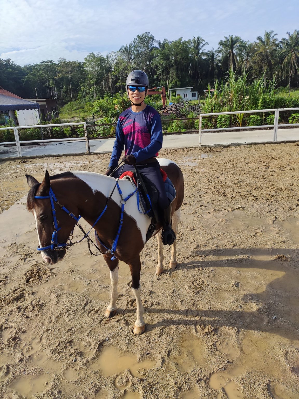 Kasavilla Stable - Horse Riding Malaysia