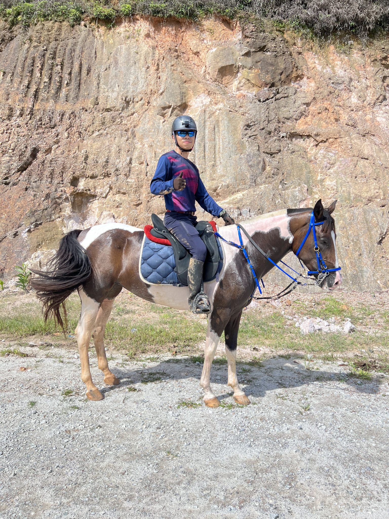 Kasavilla Stable - Horse Riding Malaysia