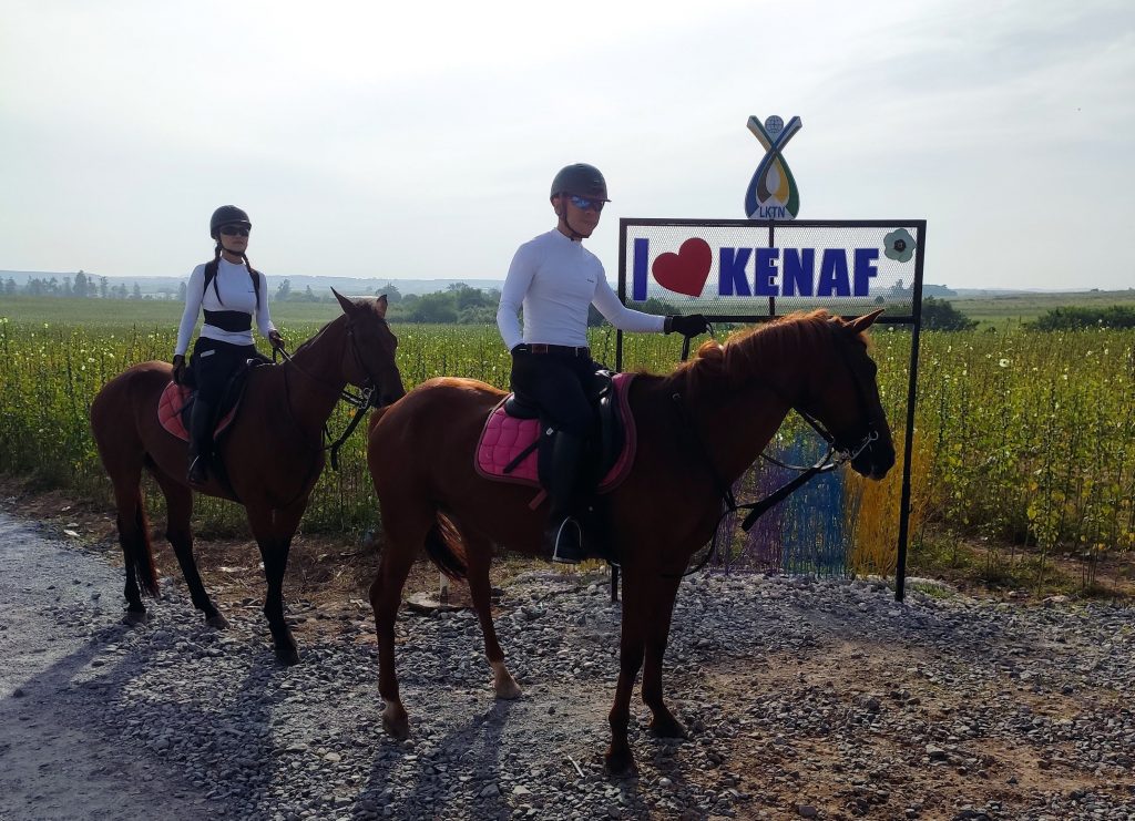 Kok Mak Stable - I love kenaf