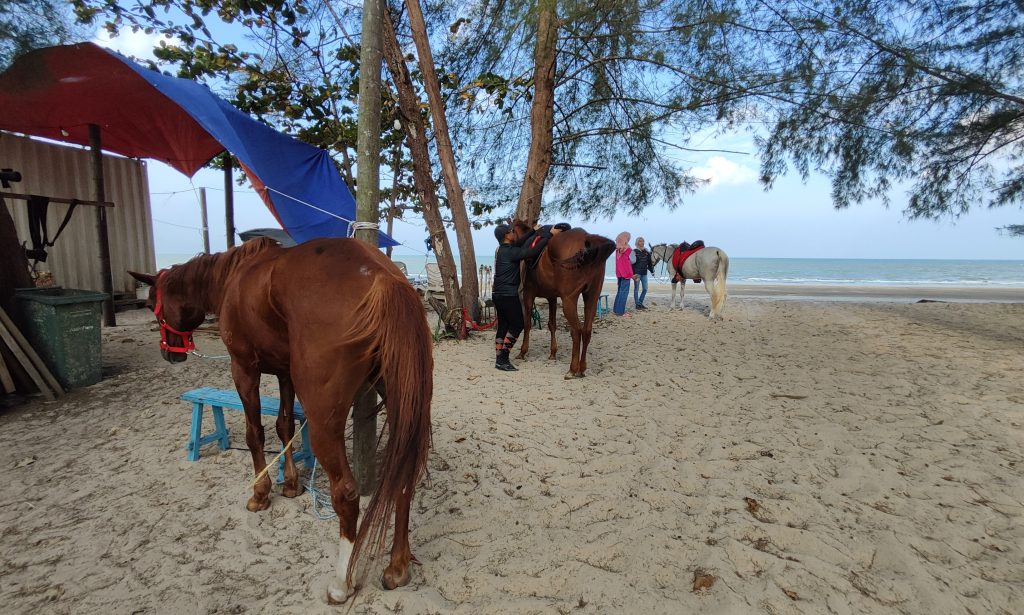 Kembara Sunnah Equestrian Team horses