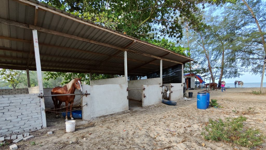 Kembara Sunnah Equestrian Team stable