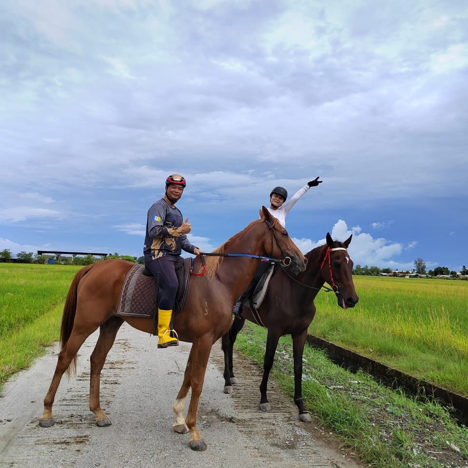 Prominent Stables - jeff