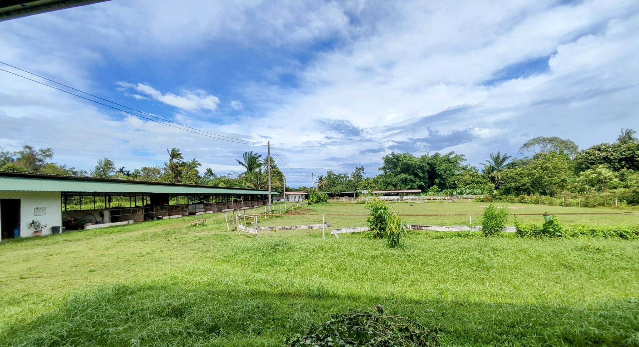 Glenora Stables - Horse Riding Malaysia