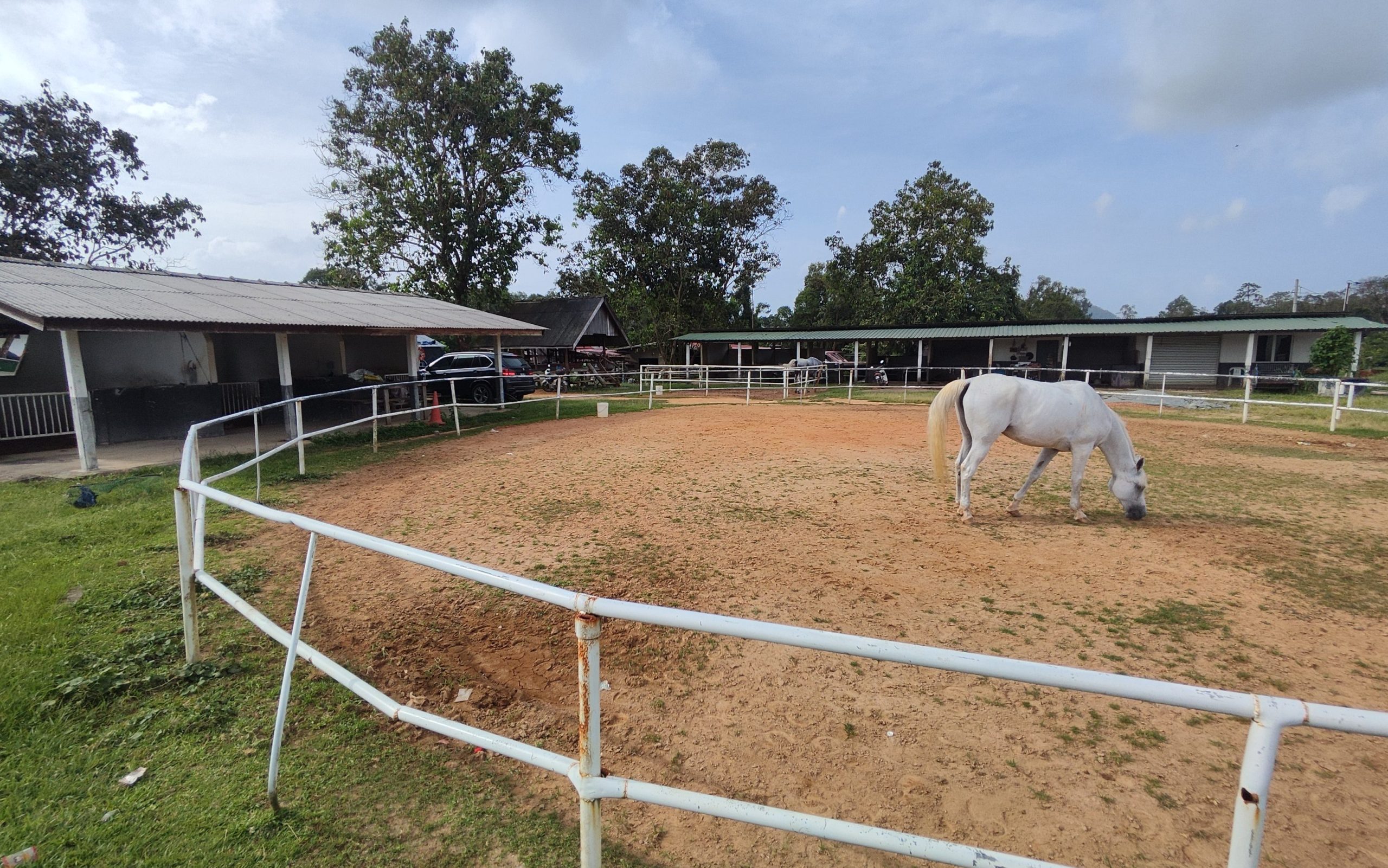 Lembah Bidong - TIEP: Kak Umi stable