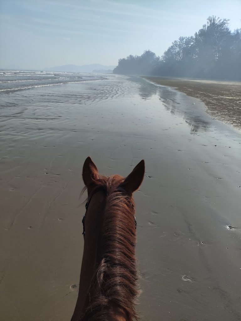 Sabah Beach Riding - Pantai Beringgis