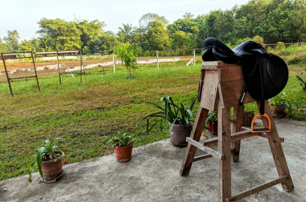 Sabah Beach Riding - Glenora Stable