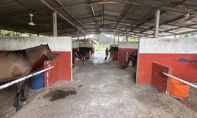 Pusat Rekreasi Berkuda Beranang