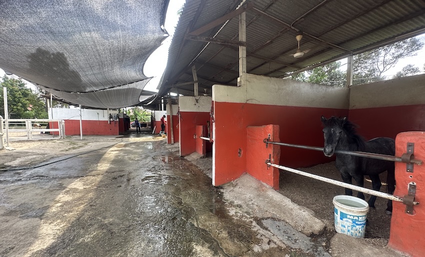 Pusat Rekreasi Berkuda Beranang - stable