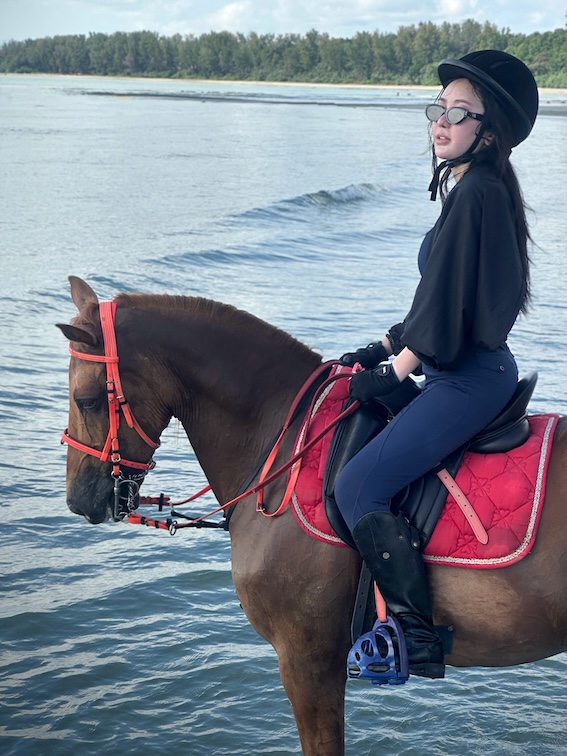 Johor Horse Carriage - Cheryl Yeo