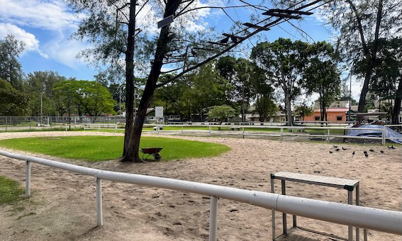 Johor Horse Carriage arena 3